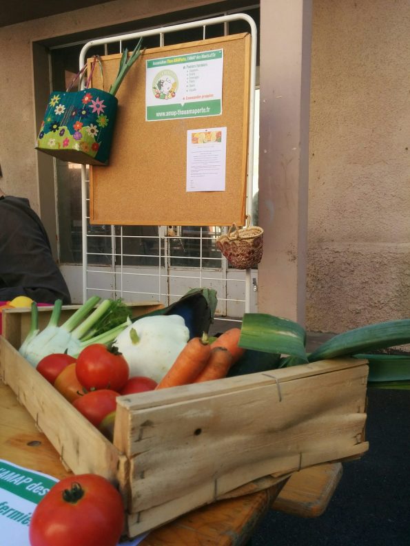 Forum des associations - Panier Légumes